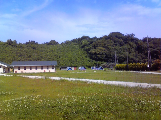 201106120842001