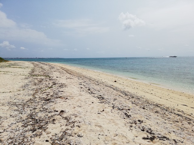 IMG_20210326_111216