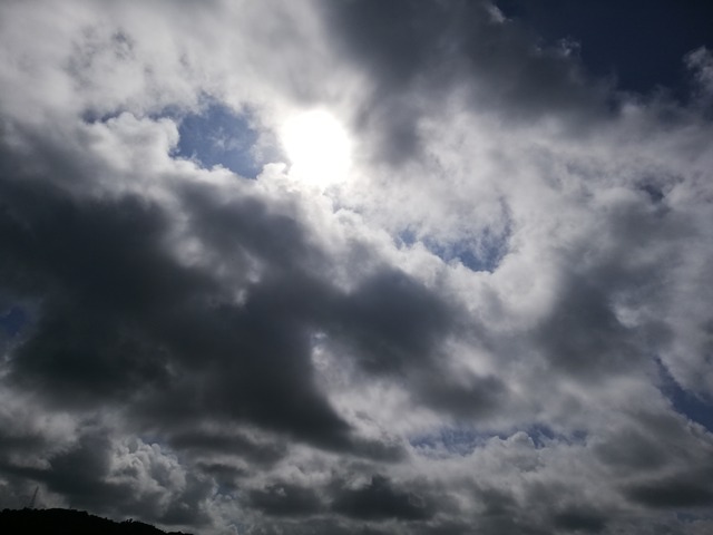 IMG_20221120_115506