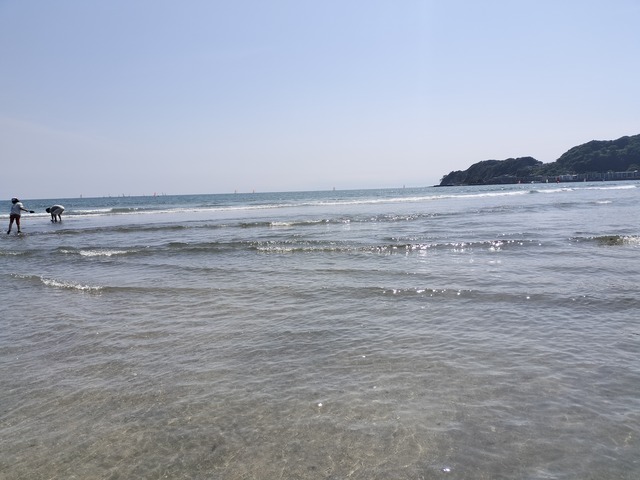 IMG20230521140124