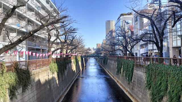 IMG20260314150401