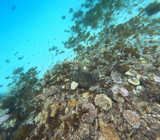 GOPR0038