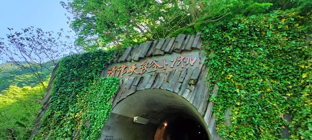 IMG20240504141636