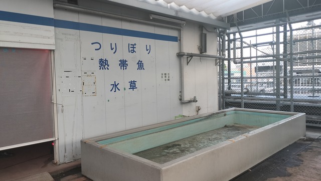 IMG20250615181821