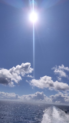 IMG20250621092957