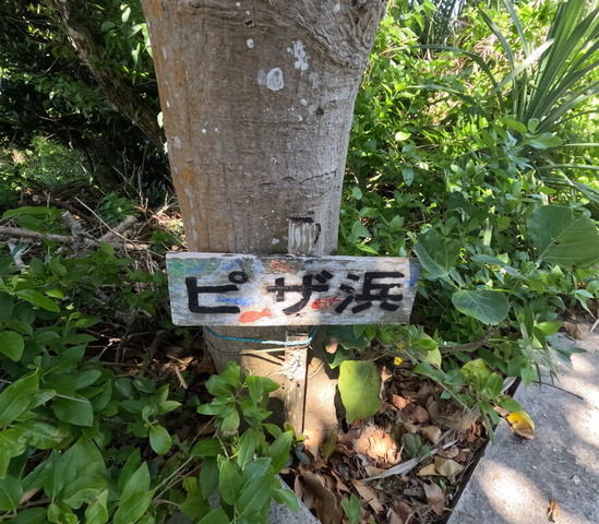 GOPR0620