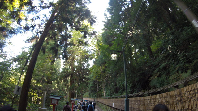 G0032785
