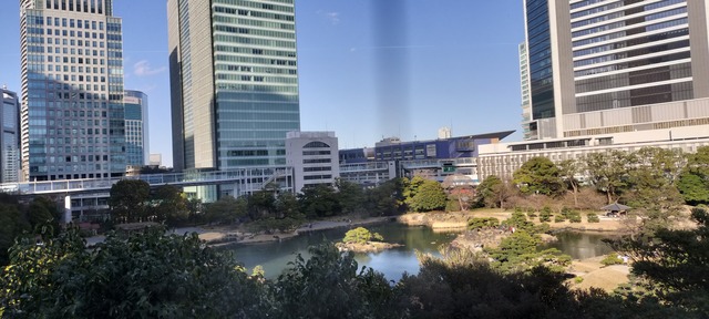 IMG20240303155605
