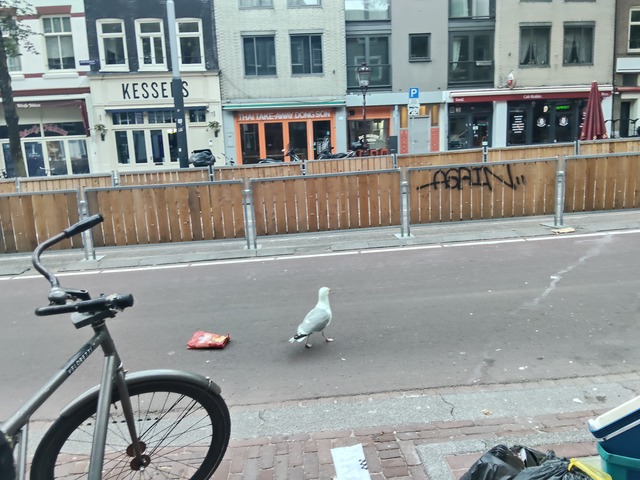 IMG20260711055407