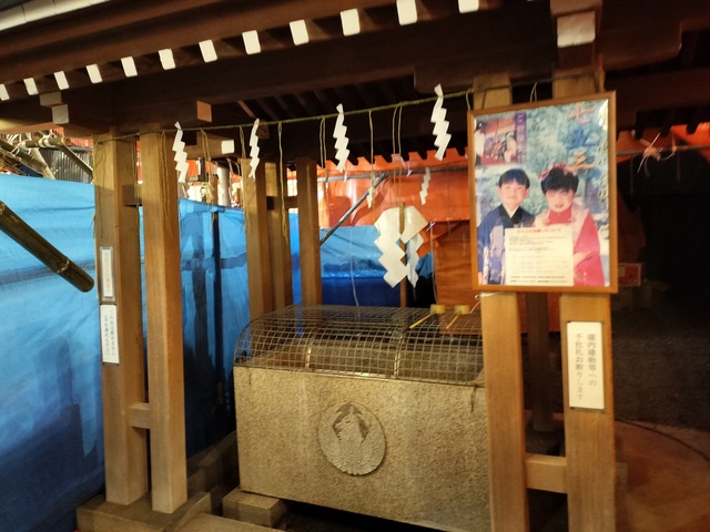 IMG20231111190531