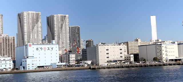 IMG20240303152305