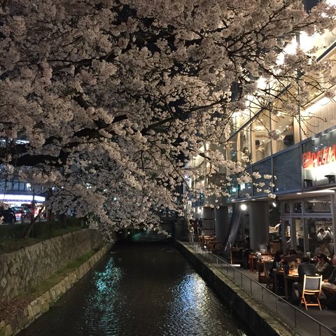 IMG_9615