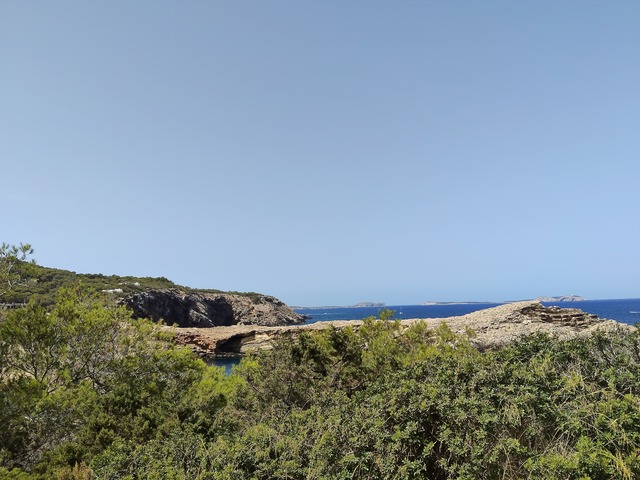 IMG20260715114439
