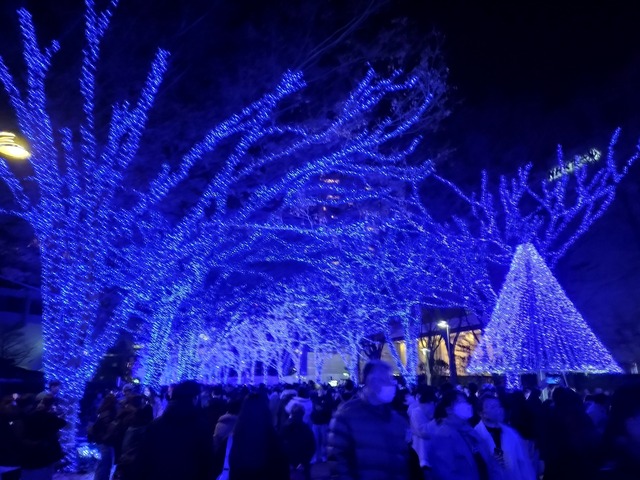IMG20231223181801