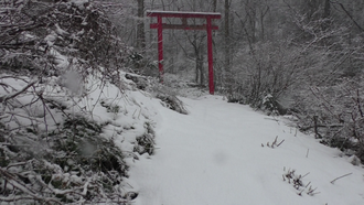 戸和田貴船神社13