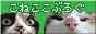 �С��ʡ�
