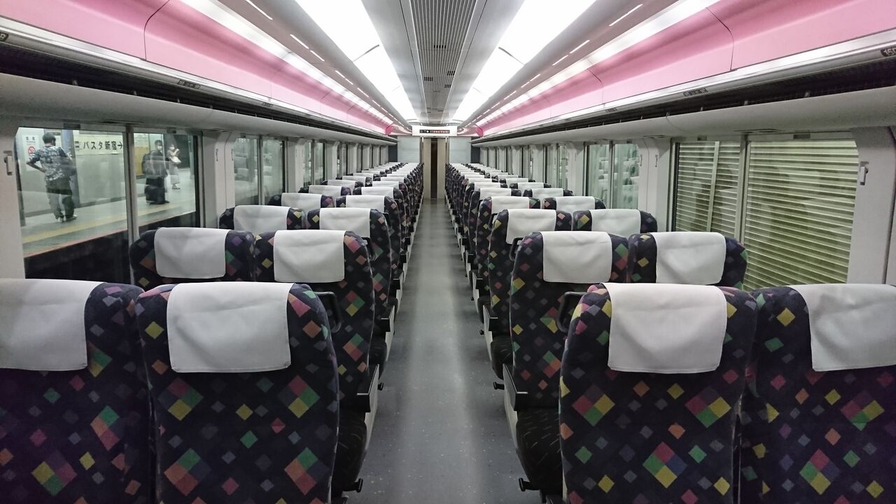 E257系0番台 普通席 : 雪うさぎの車内趣味