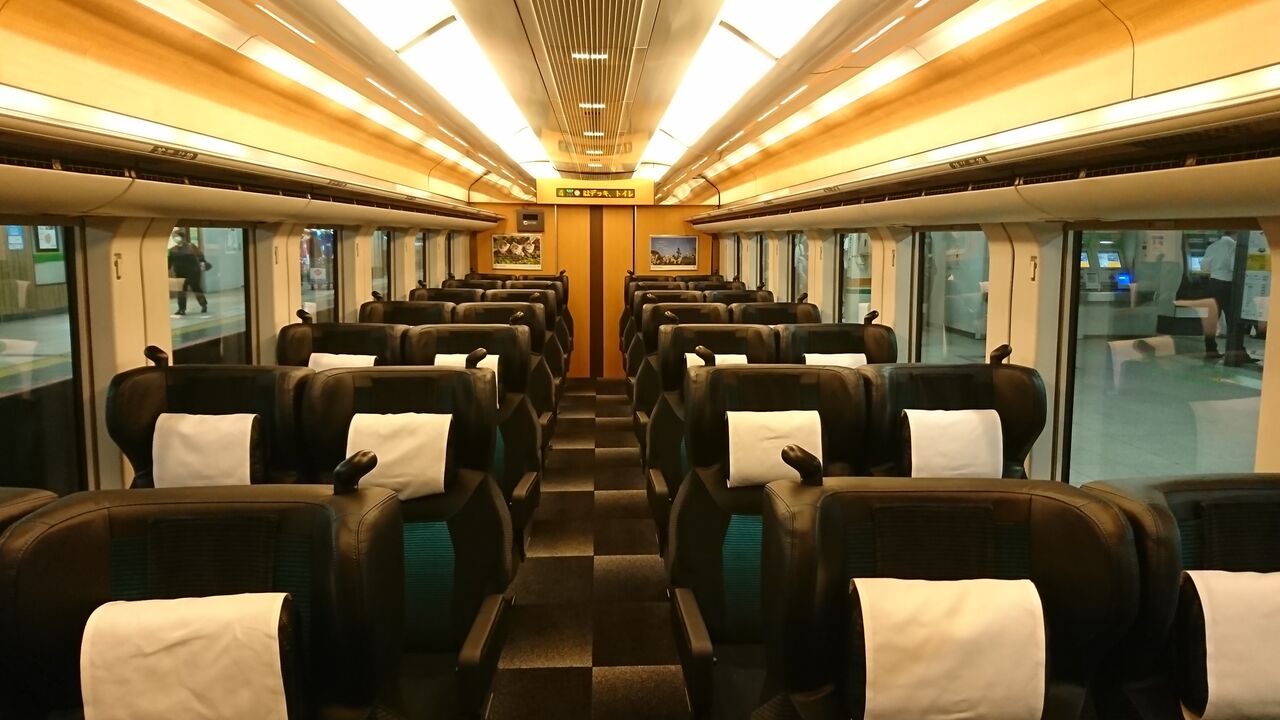 E257系00番台 グリーン席 雪うさぎの車内趣味
