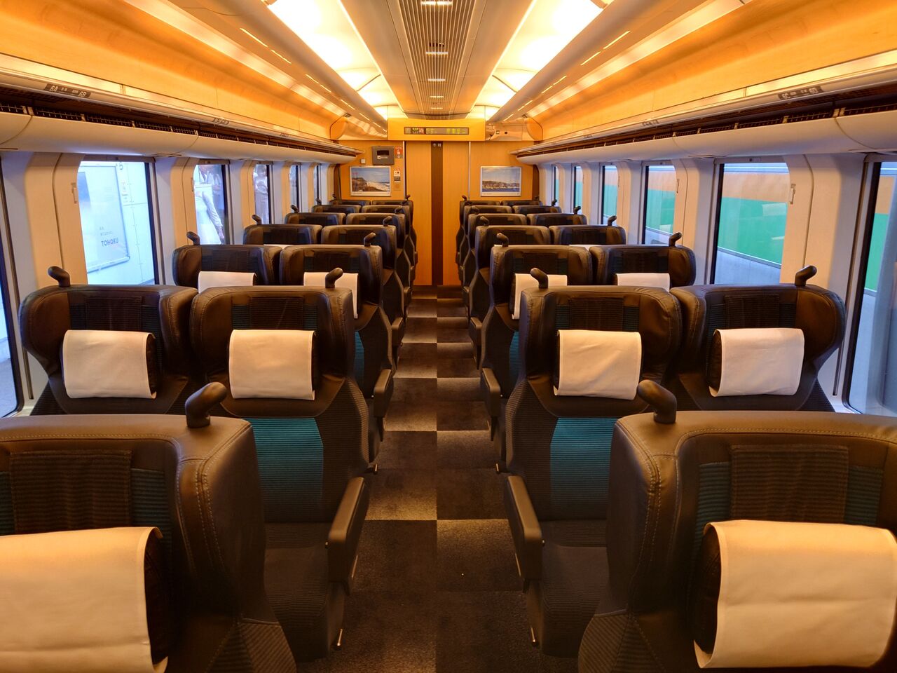 E257系2000番台 グリーン席 : 雪うさぎの車内趣味