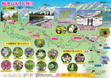 10-花便り