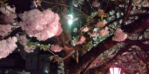 20120413213402
