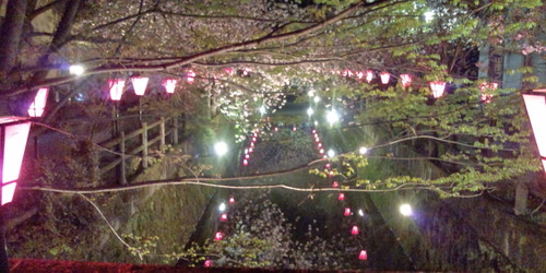 20120413213543