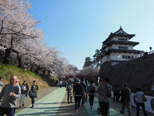 DSCN0311