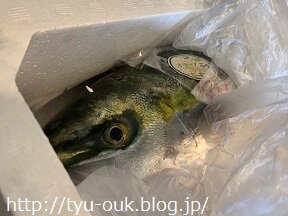 コロナ支援で「オリーブぶり」届いたよ～。