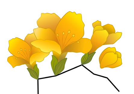 フリージアのお花のイラスト 途中 ユックリッピ 絵本の木 ビオトープ