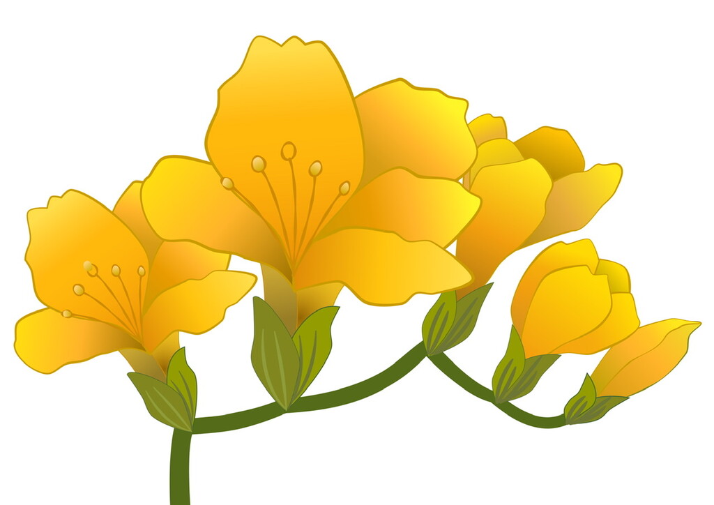 フリージアのお花のイラスト 途中 ユックリッピ 絵本の木 ビオトープ