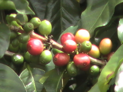 �������ꥫ09�̿� 011