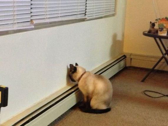 動物 ちょっと叱っただけじゃないか そんなに落ち込むなよ 話題の画像祭り Funny Image 動物 ちょっと叱っただけじゃないか そんなに落ち込むなよ 話題の画像祭り Funny Image