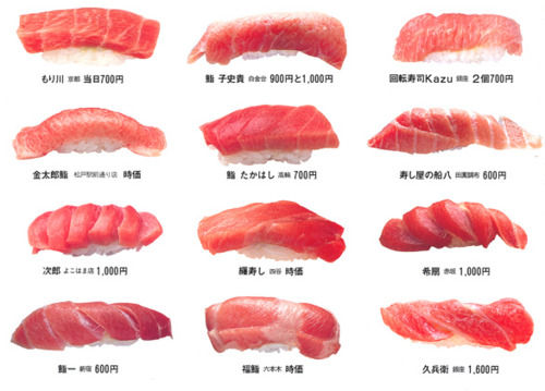 どれが好みですか？店舗別大トロ図鑑 | 話題の画像祭り！『FUNNY-IMAGE』