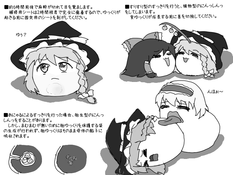 街中あき ぺにまむ去勢キット ゆっくりプレイス 街中あき ぺにまむ去勢キット ゆっくりプレイス