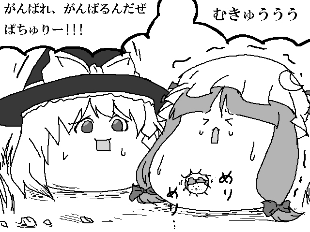 ぱちゅあき ぱちゅ誘拐 ゆっくりプレイス ぱちゅあき ぱちゅ誘拐 ゆっくりプレイス