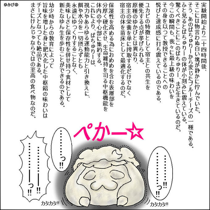ゆかび ゆっくり ゆんやーの森 ゆかび ゆっくり ゆんやーの森