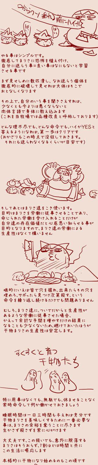 犬って人間の言葉をどのくらい理解して ...