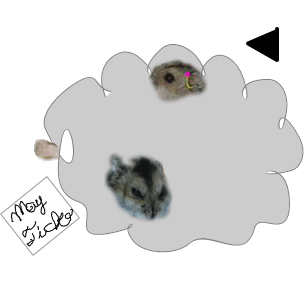 ドンガラガッシャン!