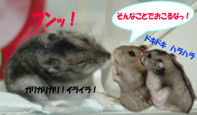 フンッ! すねてやる!