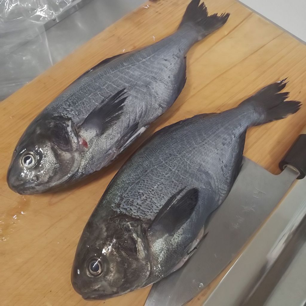 ゆこぶーの食いしん坊万歳 イチミダイ メイチダイ メダイ ゆこぶーの食いしん坊万歳 イチミダイ メイチダイ メダイ