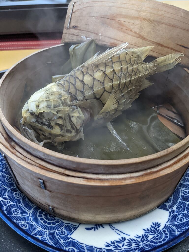 ゆこぶーの食いしん坊万歳 鱗が鎧 マツカサウオ