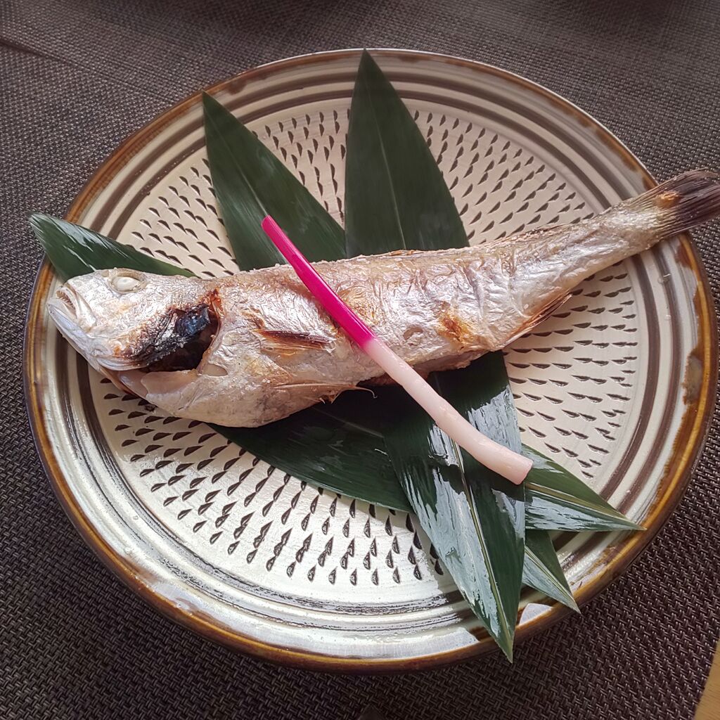 ゆこぶーの食いしん坊万歳 イシモチ