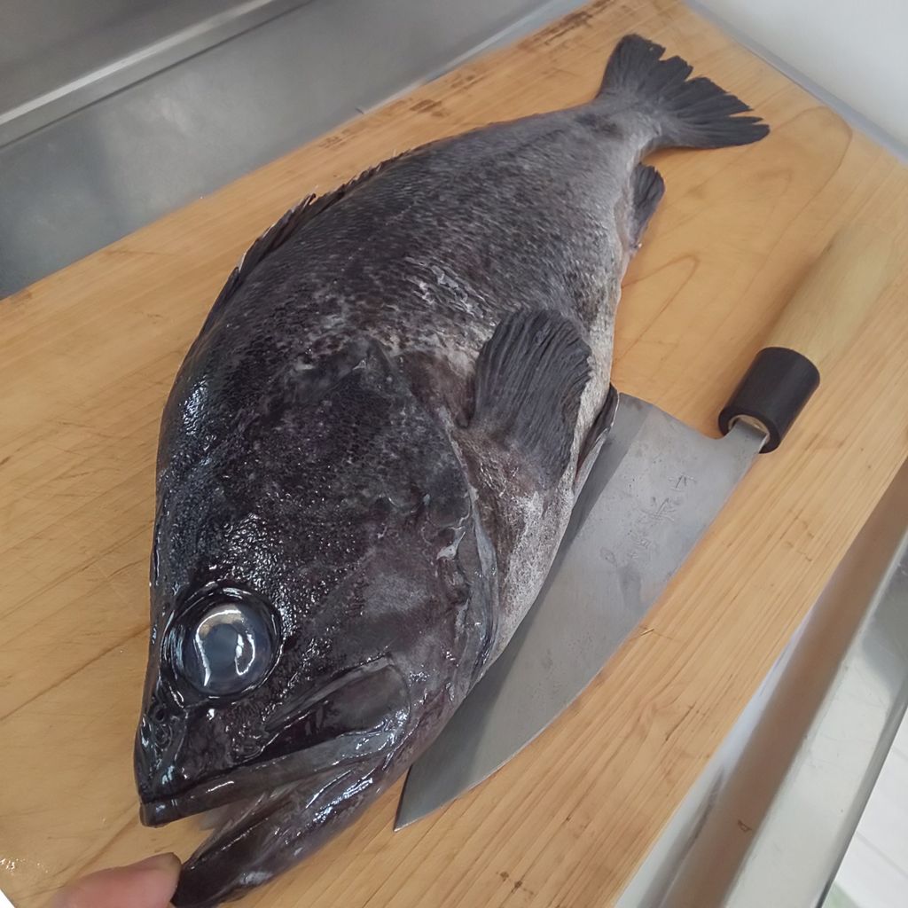 ゆこぶーの食いしん坊万歳 クロソイ ソイメバル