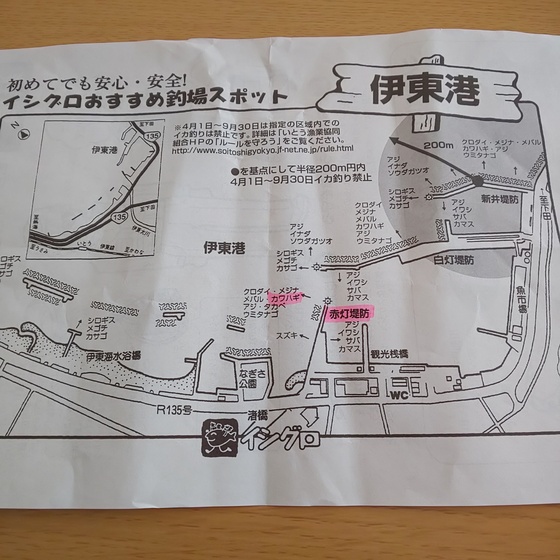 ゆこぶーの食いしん坊万歳 静岡県伊東港23 釣り ゆこぶーの食いしん坊万歳 静岡県伊東港23 釣り