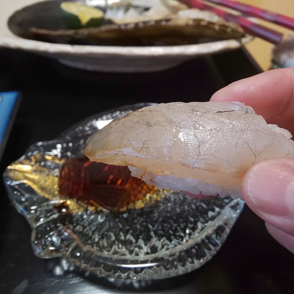 ゆこぶーの食いしん坊万歳 三重県 南伊勢 筏釣り34 アイゴ