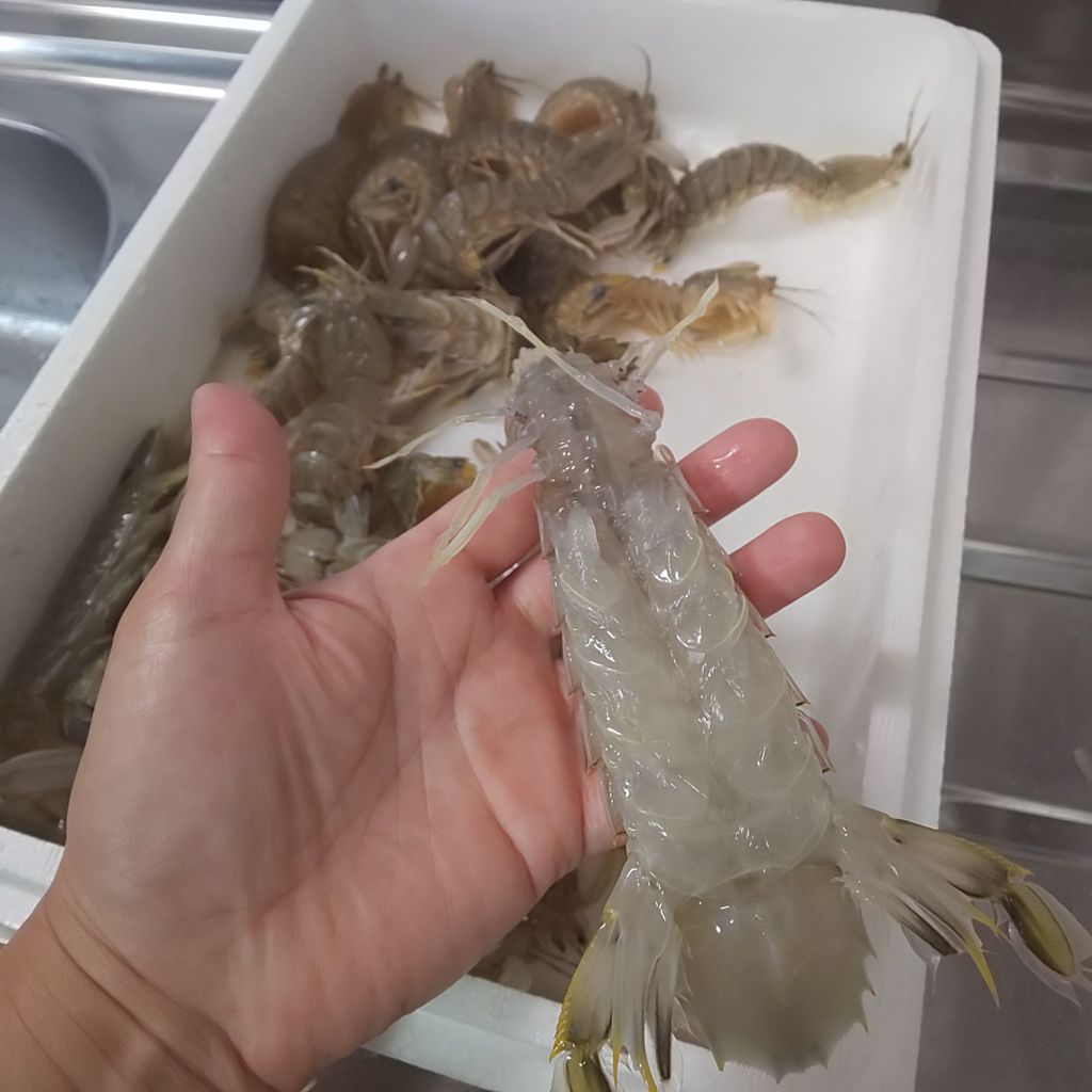 ゆこぶーの食いしん坊万歳 カンジャン ケッカジェ ゆこぶーの食いしん坊万歳 カンジャン ケッカジェ