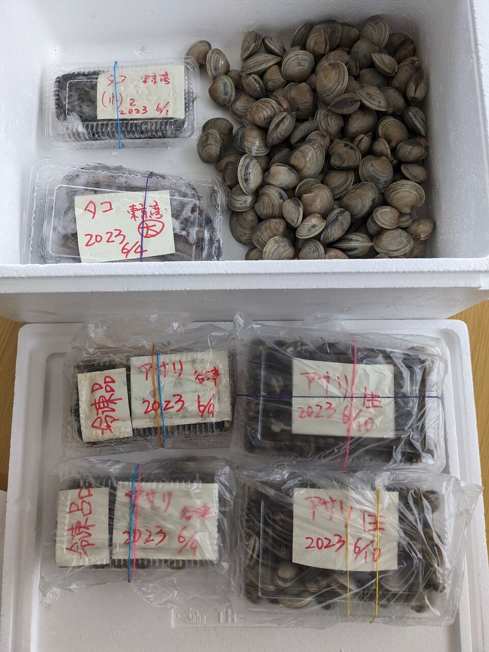 浅草【銅銀銅器店】純銅製玉子焼鍋（大） : ゆこぶーの