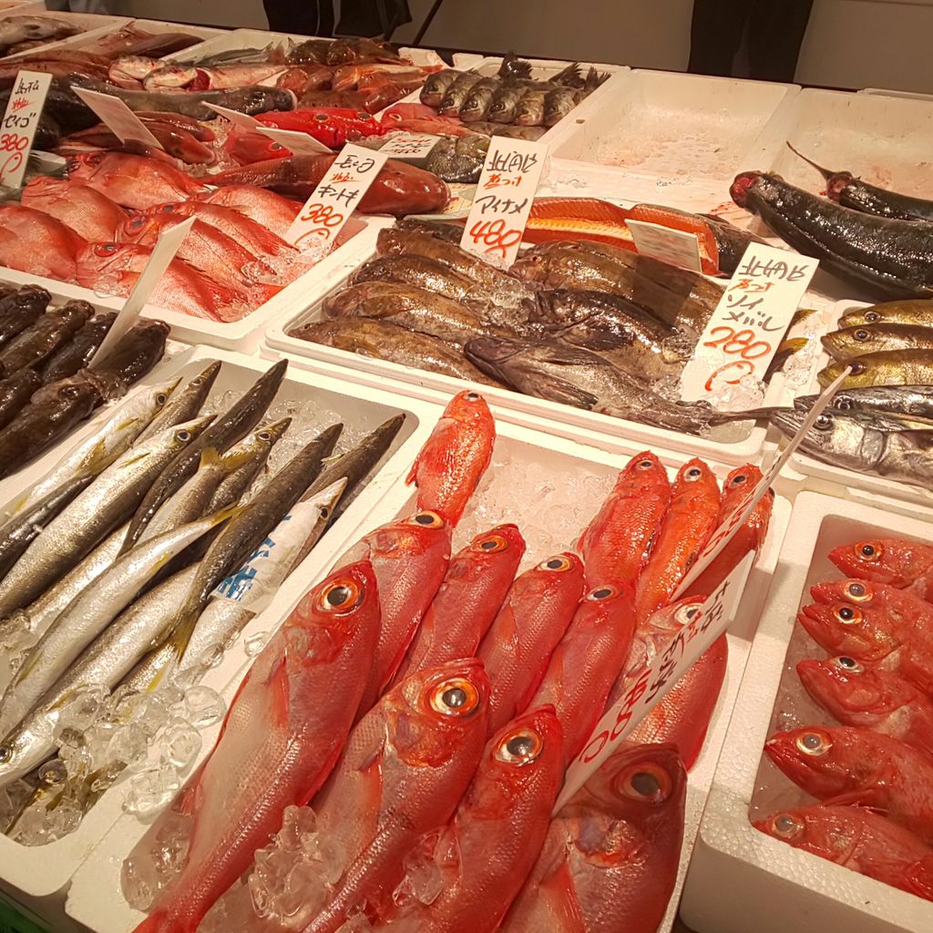 ゆこぶーの食いしん坊万歳 クロソイ ソイメバル