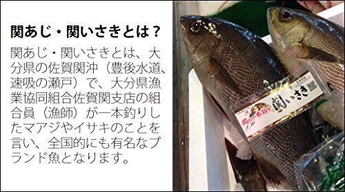 ゆこぶーの食いしん坊万歳 大分佐賀関の一本釣りイサキ