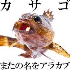 yjimage